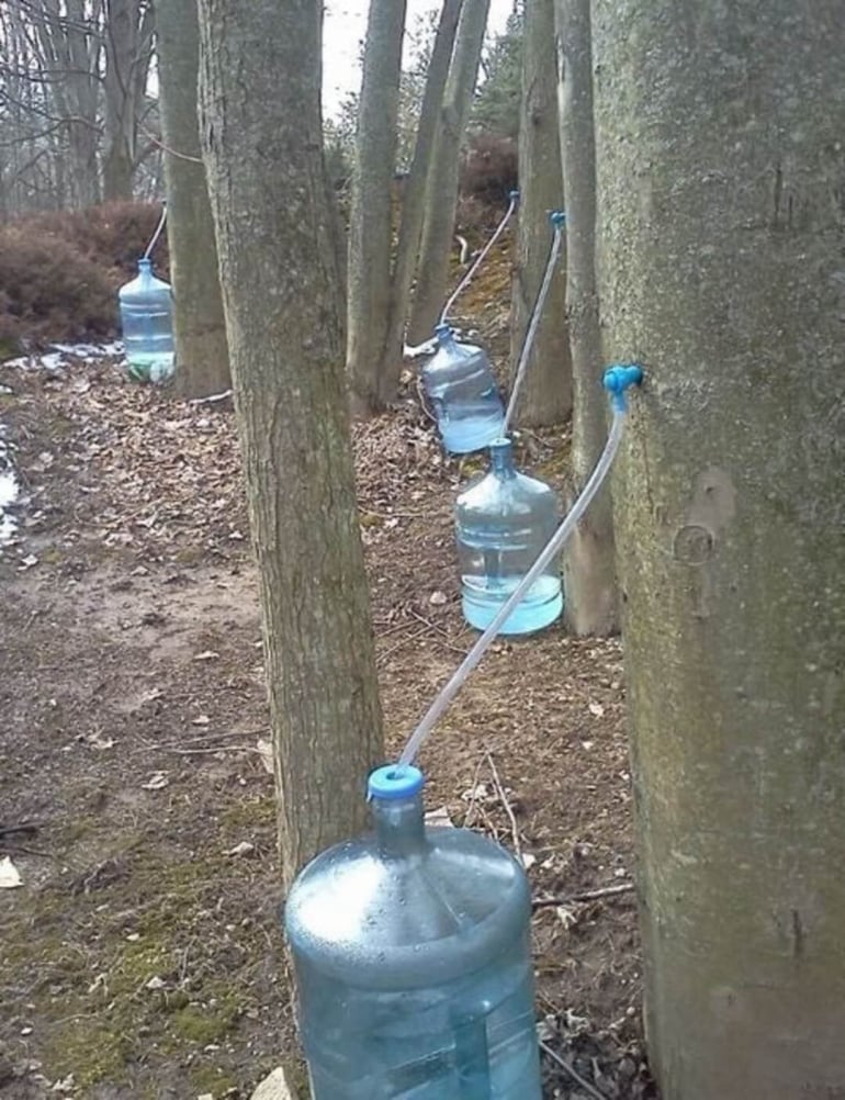 What is His Secret Obsession ?